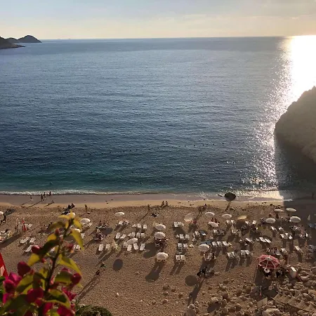 Eco Mimoza Kalkan