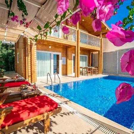 Villa Eco Mimoza *