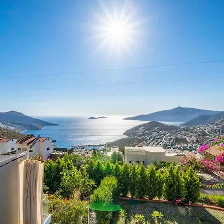 Eco Mimoza Villa